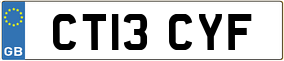 Trailer License Plate